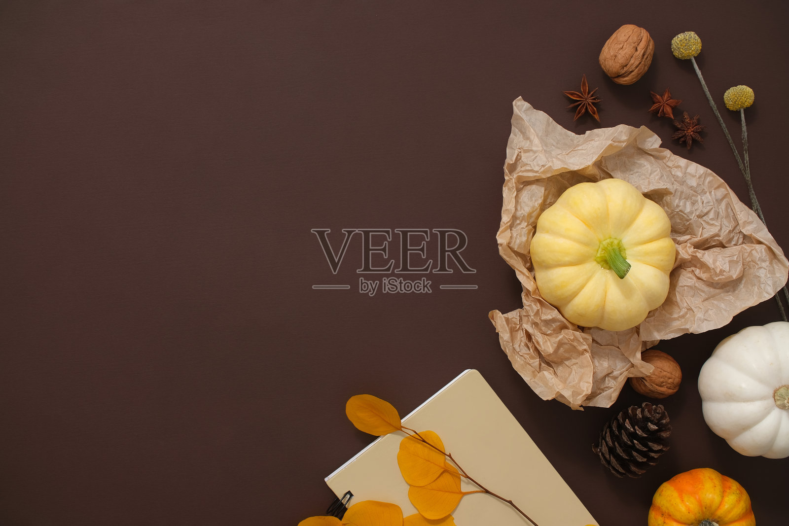 感恩节的概念照片摄影图片