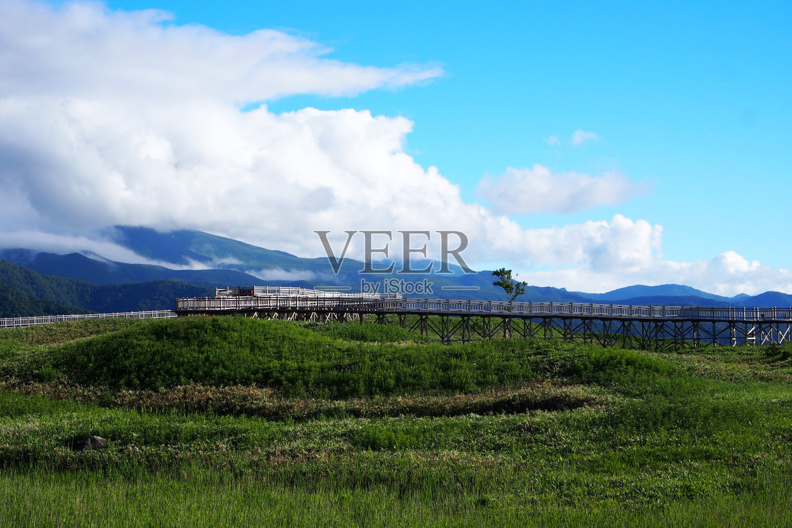 位于日本北海道的世遗七子国家公园照片摄影图片