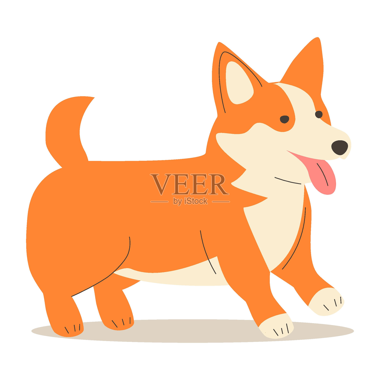 柯基狗矢量卡通插图。可爱友好的威尔士柯基小狗坐着，笑着伸出舌头孤立。插画图片素材