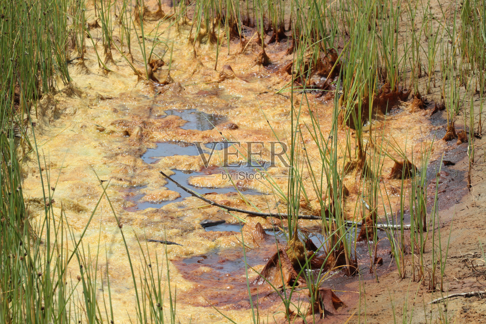 美国加州新立公园照片摄影图片