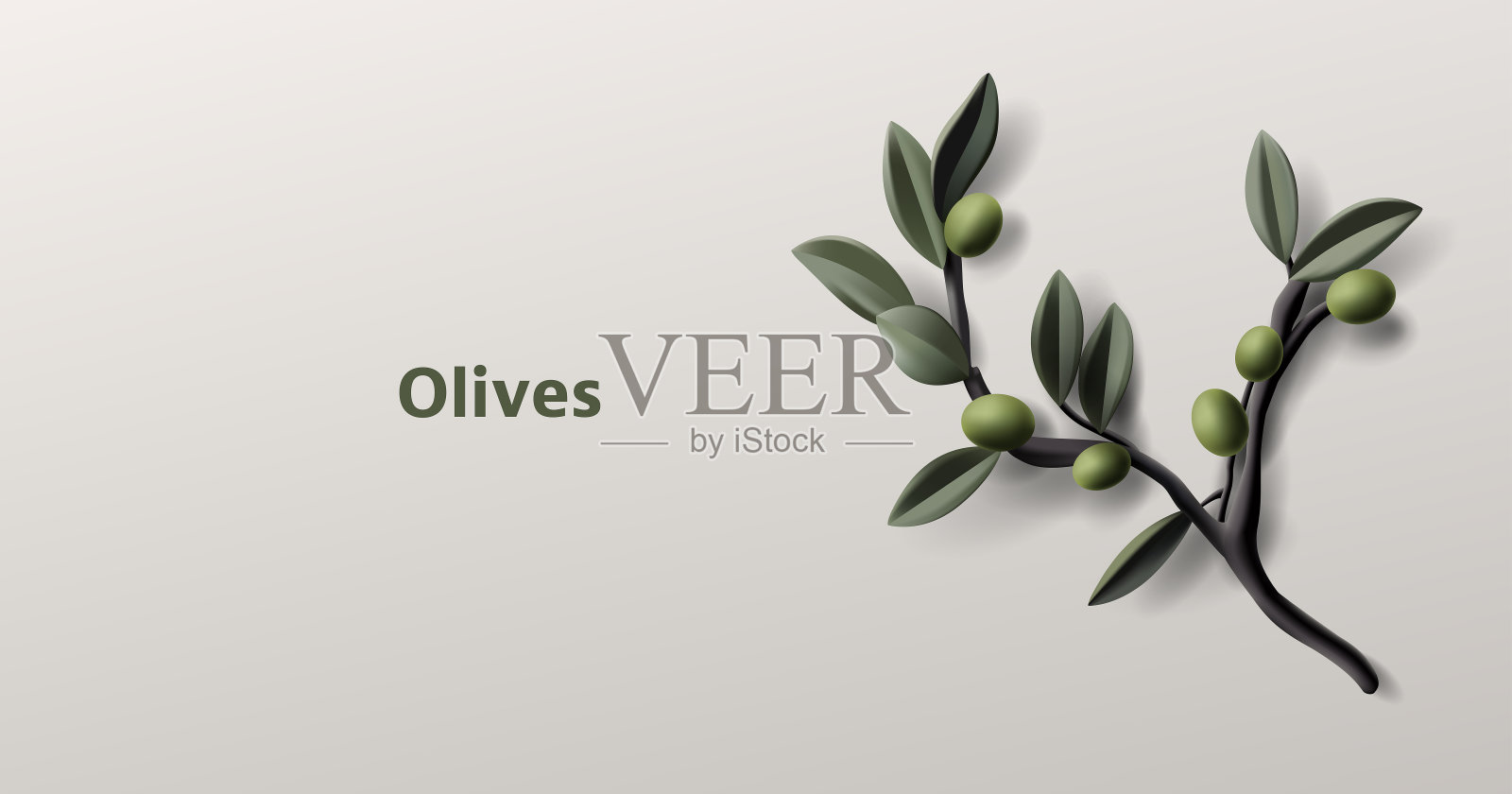 绿橄榄逼真的树枝与树叶，3d逼真渲染插图插画图片素材