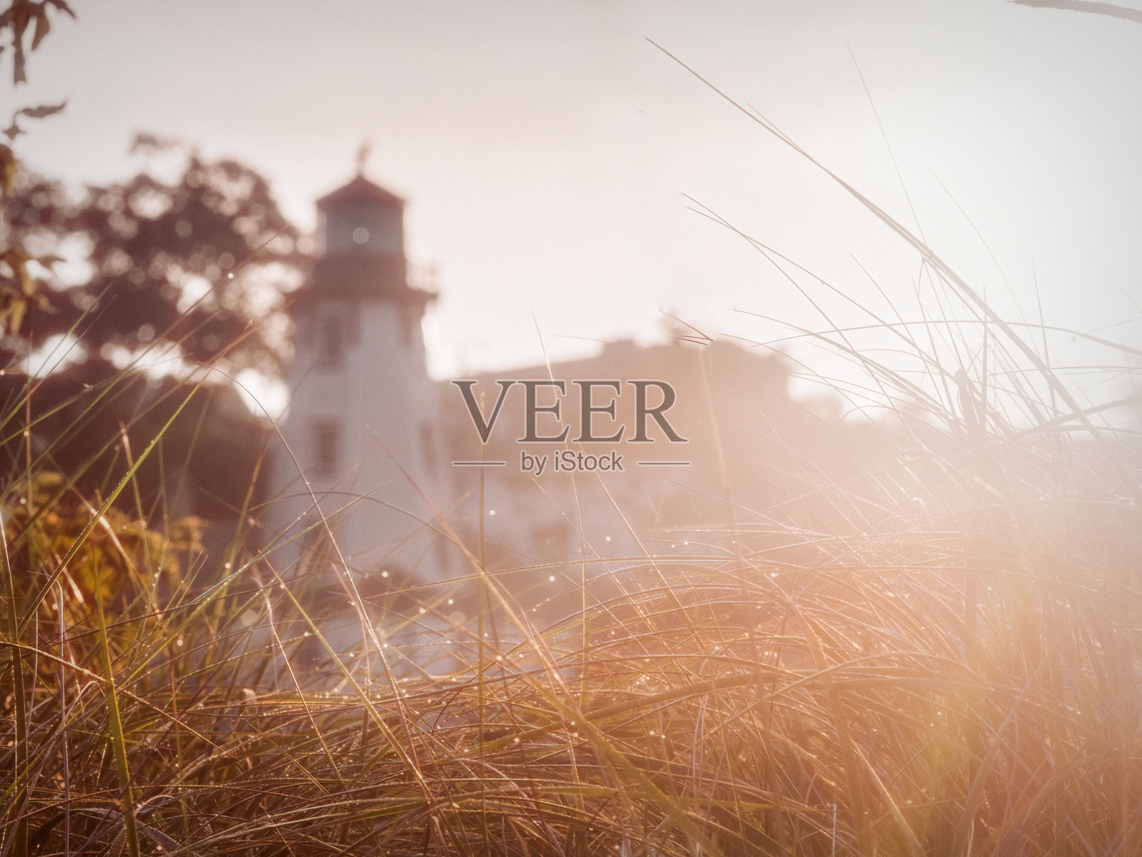 安大略省金卡丁的灯塔照片摄影图片