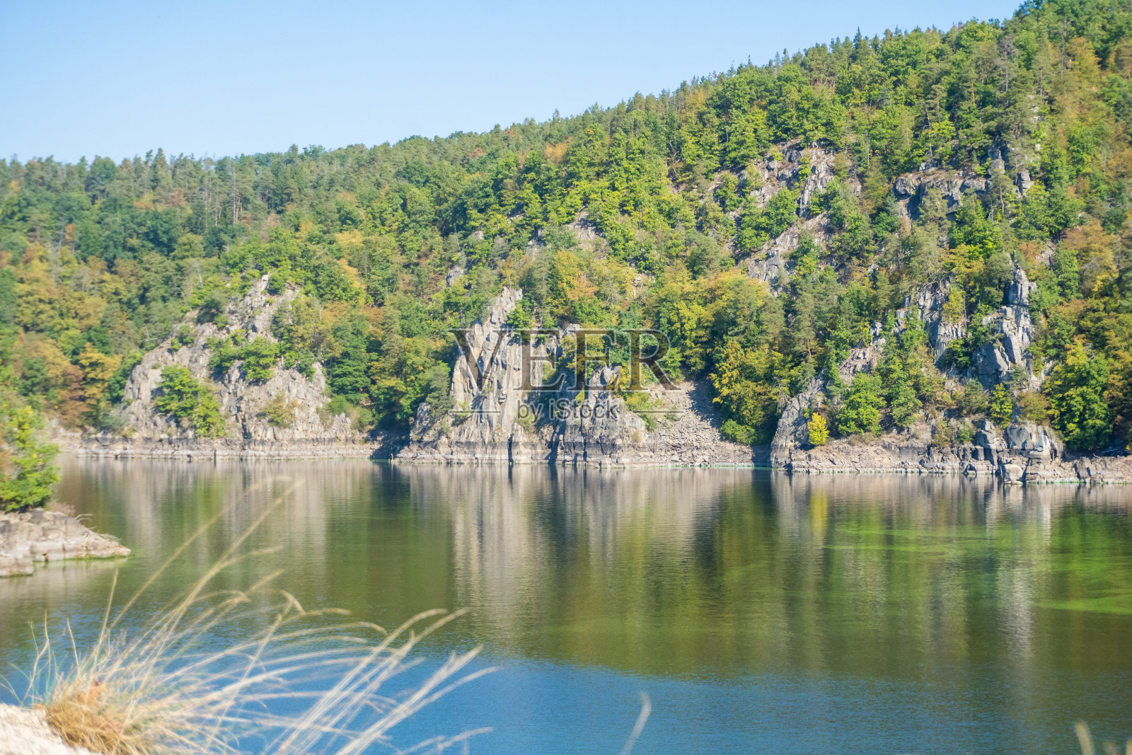 美丽的伏尔塔瓦河景观和兹维科夫城堡附近的森林，捷克照片摄影图片