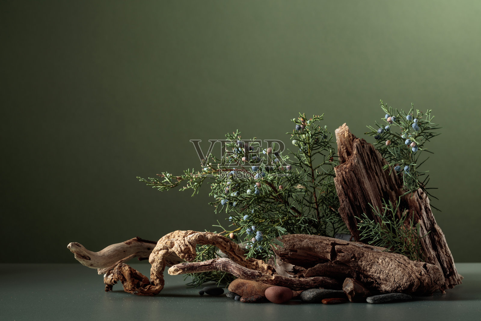 抽象的自然场景与组成的杜松，石头，和干的障碍。照片摄影图片