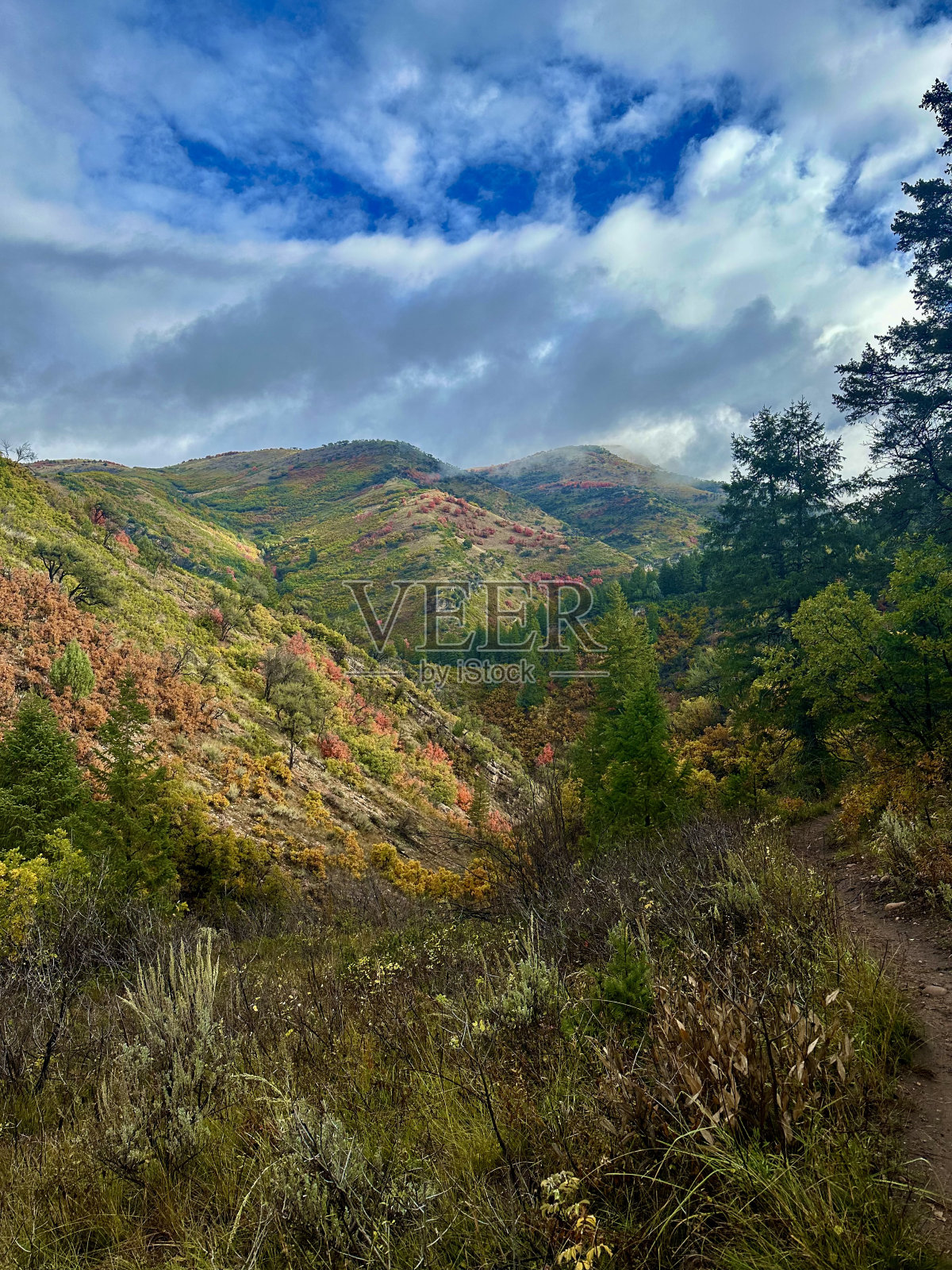 犹他州山区照片摄影图片