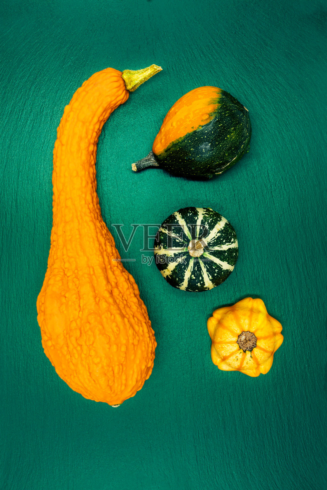 绿色背景上的装饰南瓜。照片摄影图片