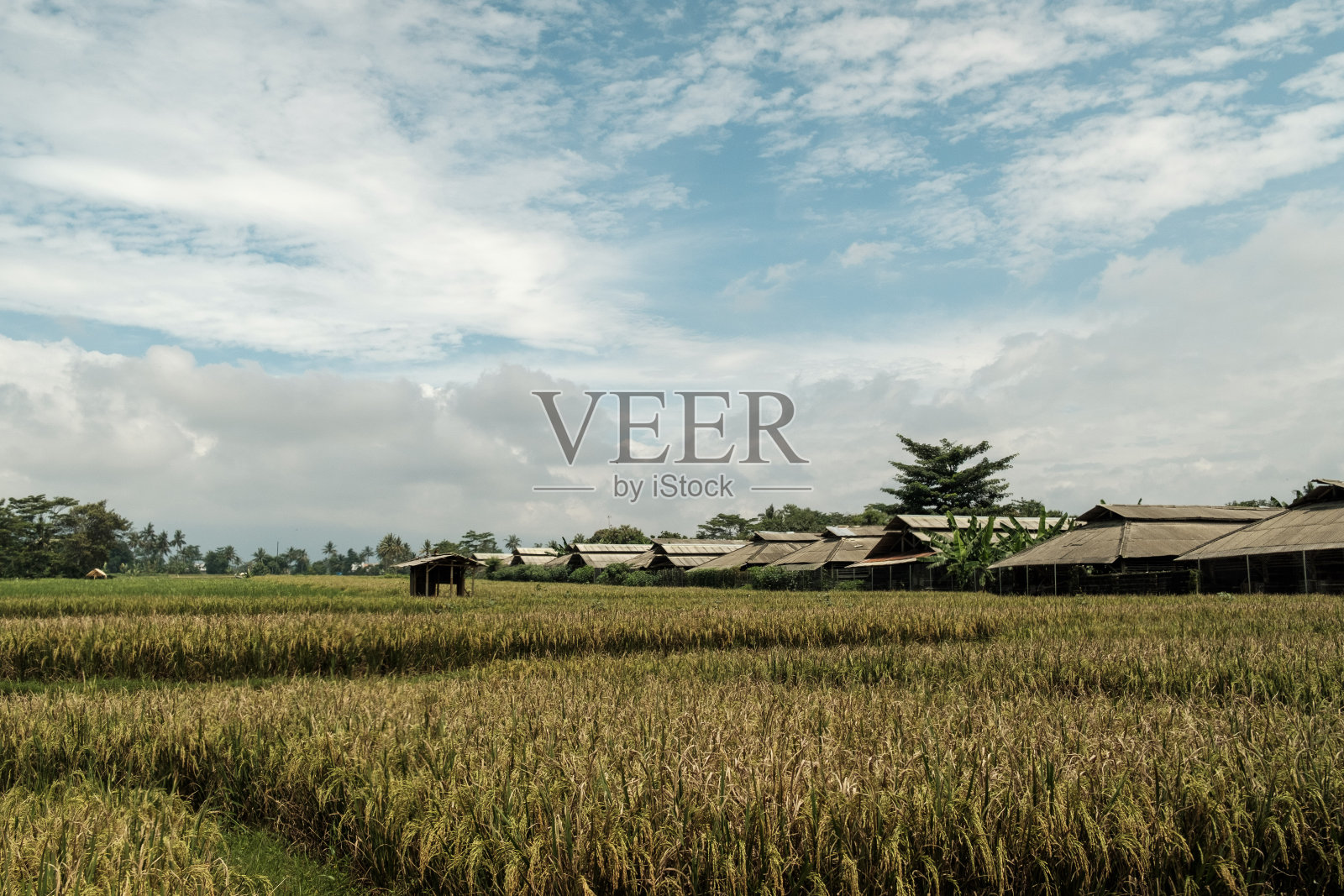 乡村的感觉照片摄影图片