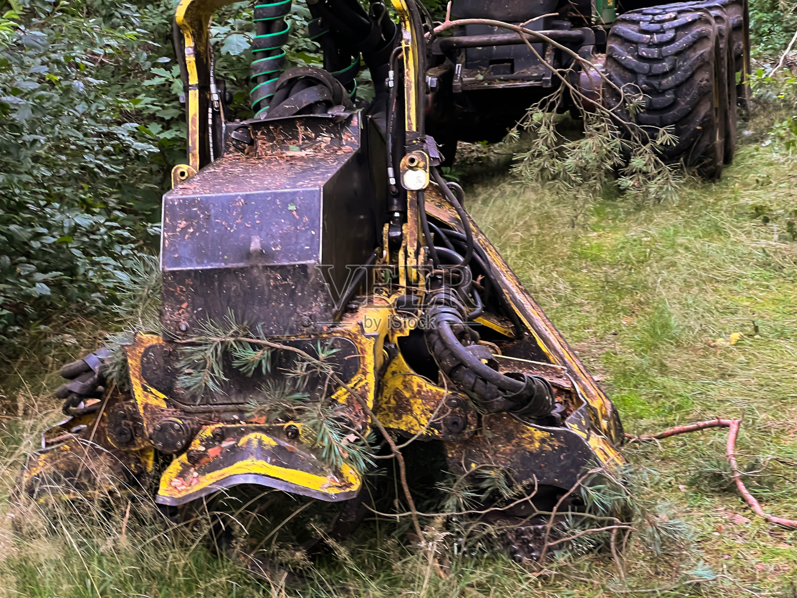 森林里的一辆收割机在树林中停下来照片摄影图片