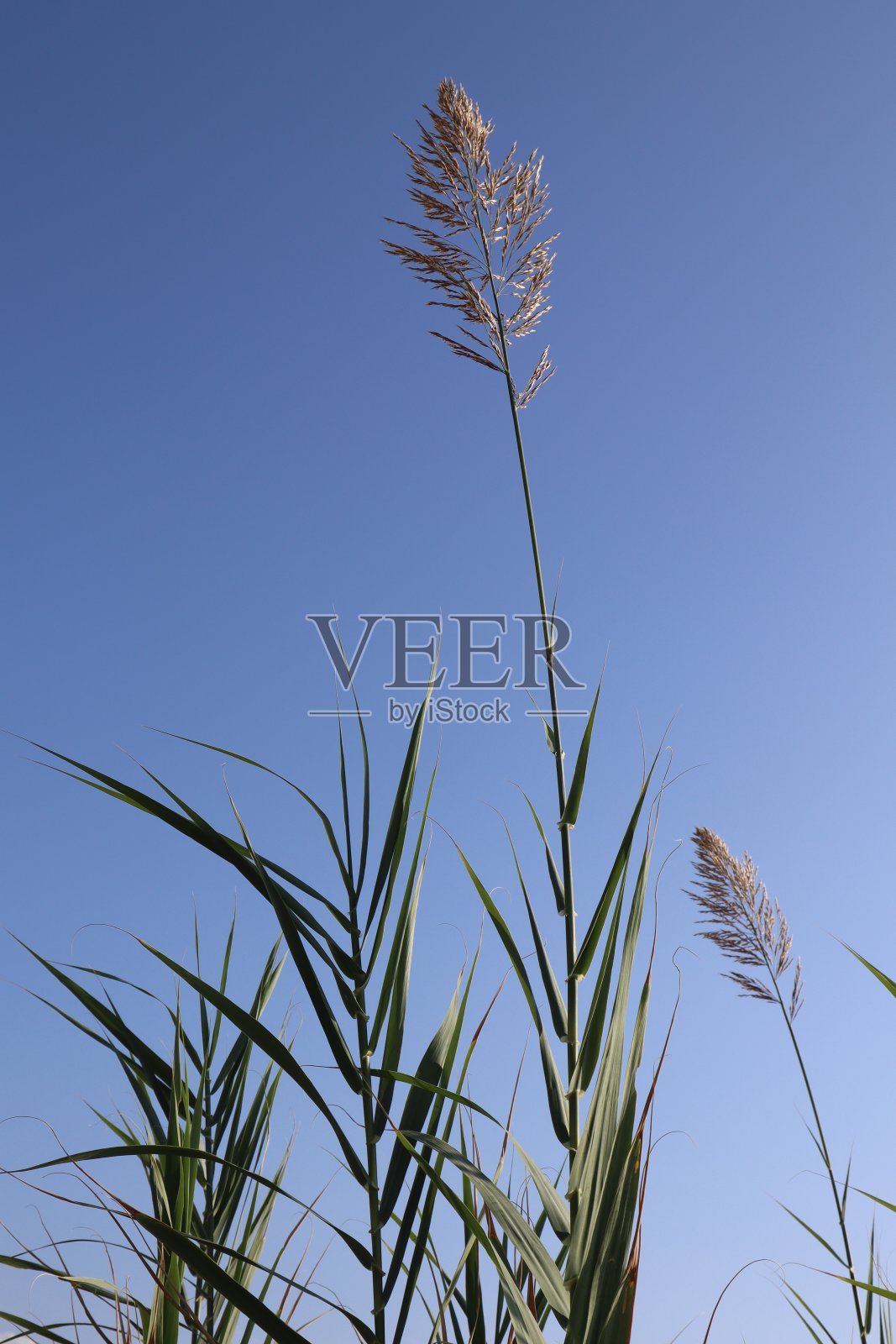 海边的大自然照片摄影图片