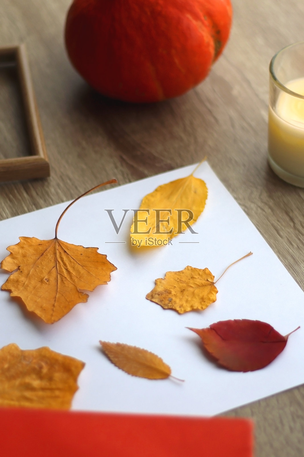 制作秋季植物标本室照片摄影图片