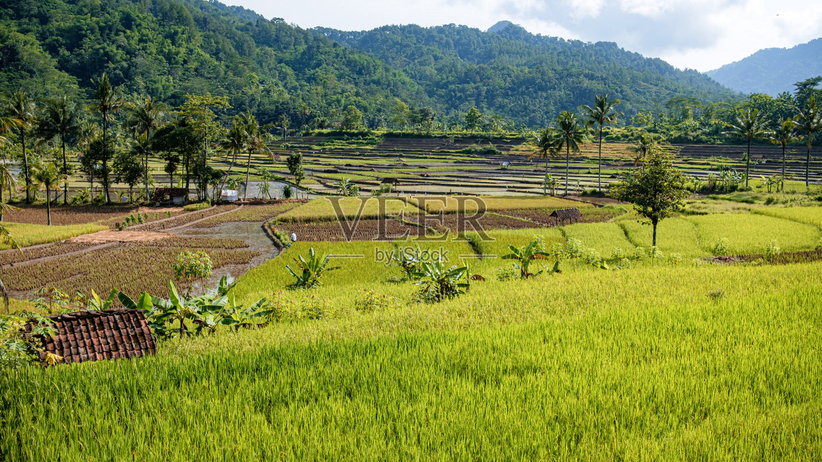 乡村的感觉照片摄影图片