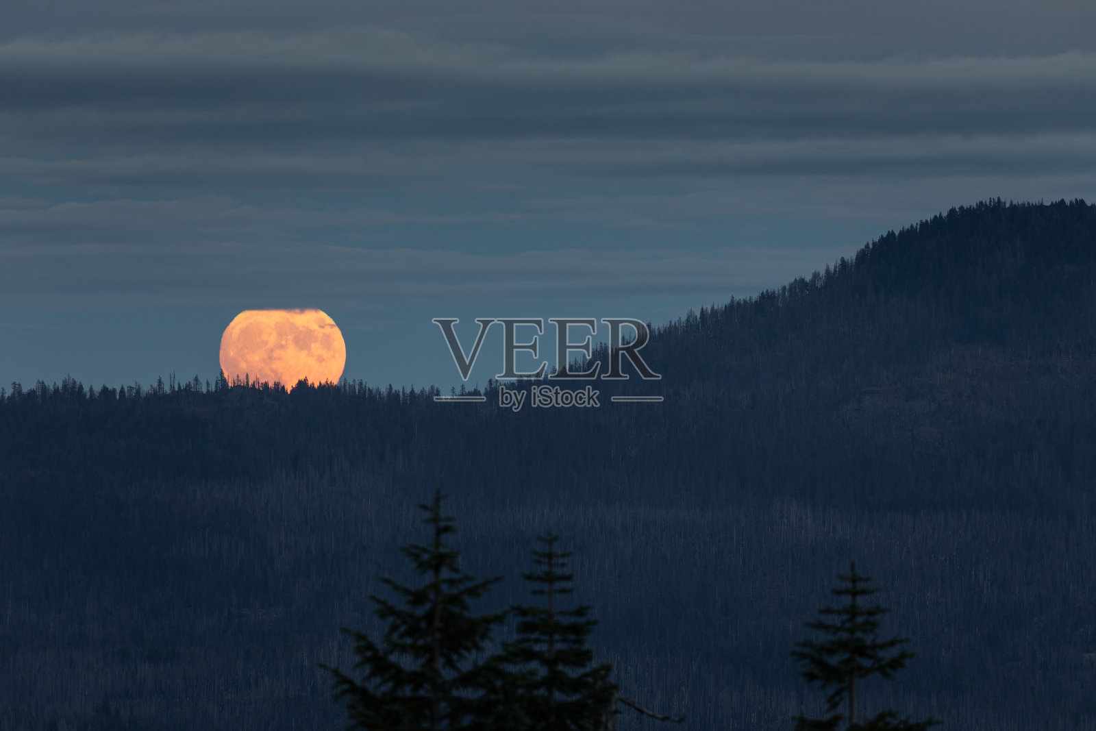 Hervest超级月亮从山上升起照片摄影图片