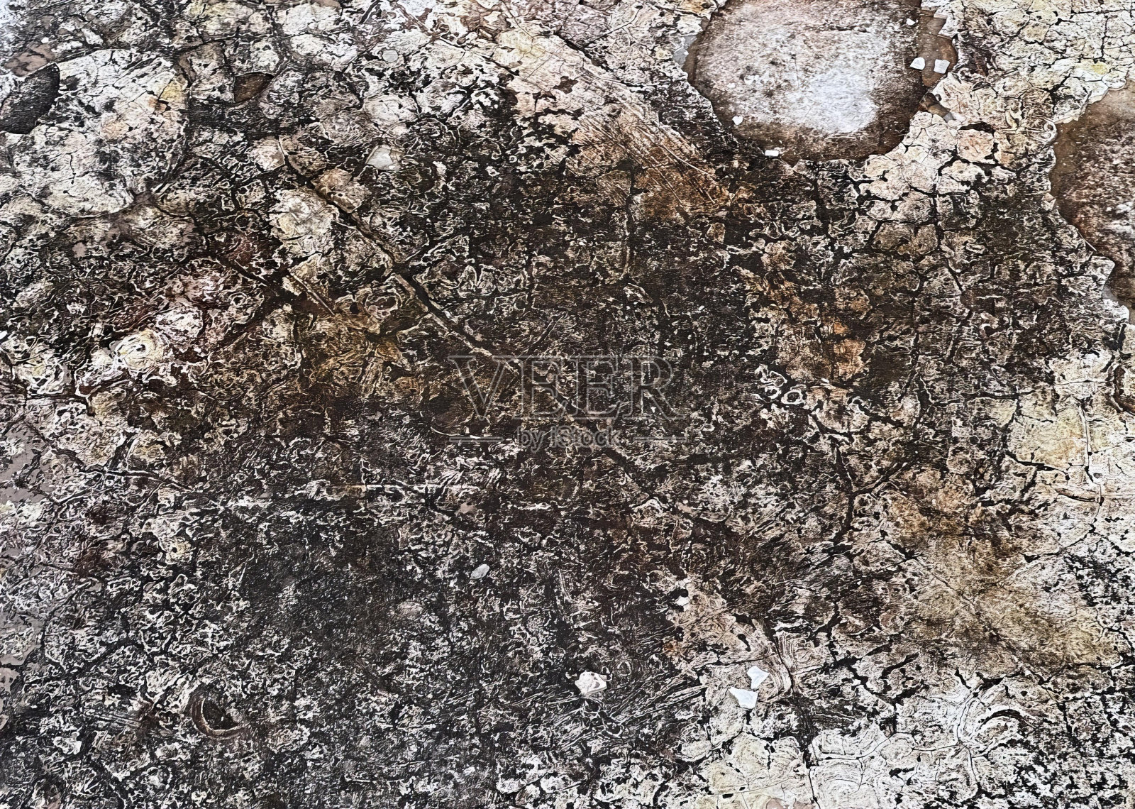 岩石纹理的特写。照片摄影图片