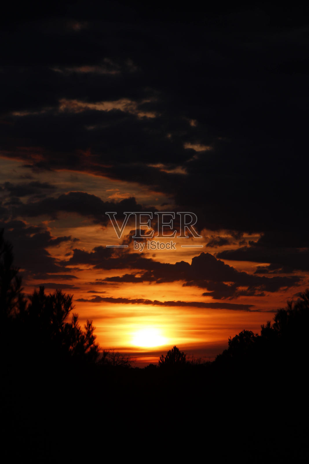 黄昏真的很黑，在树林中看到。照片摄影图片