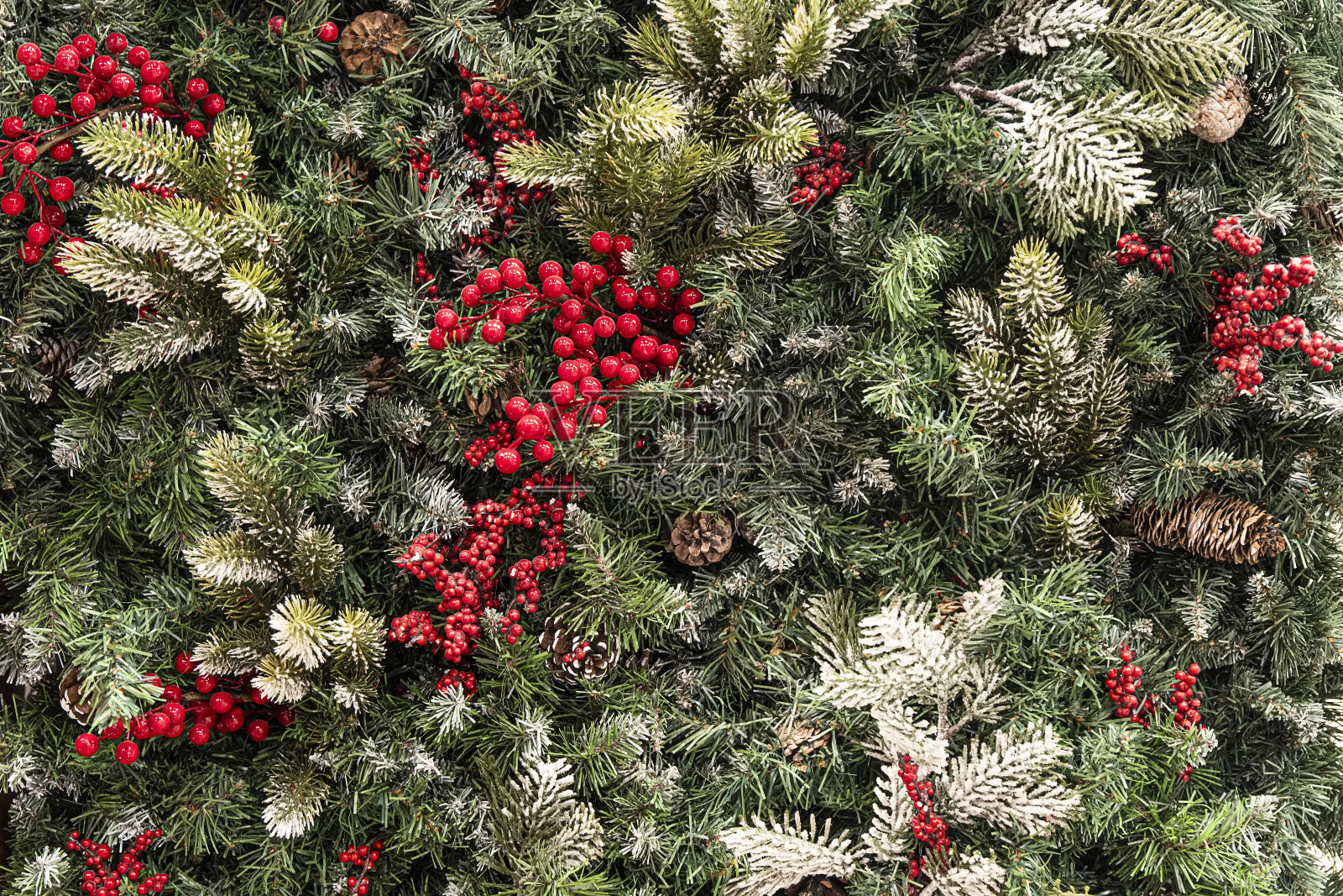 一个圆锥体和一棵挂在云杉树枝上的红紫菀树，这是新年和圣诞节的特写装饰。圣诞树上的松果照片摄影图片