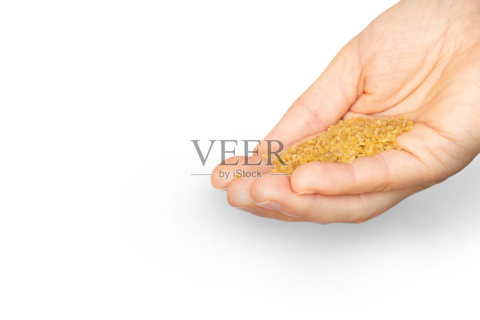 女手拿着白底小麦，收割照片摄影图片