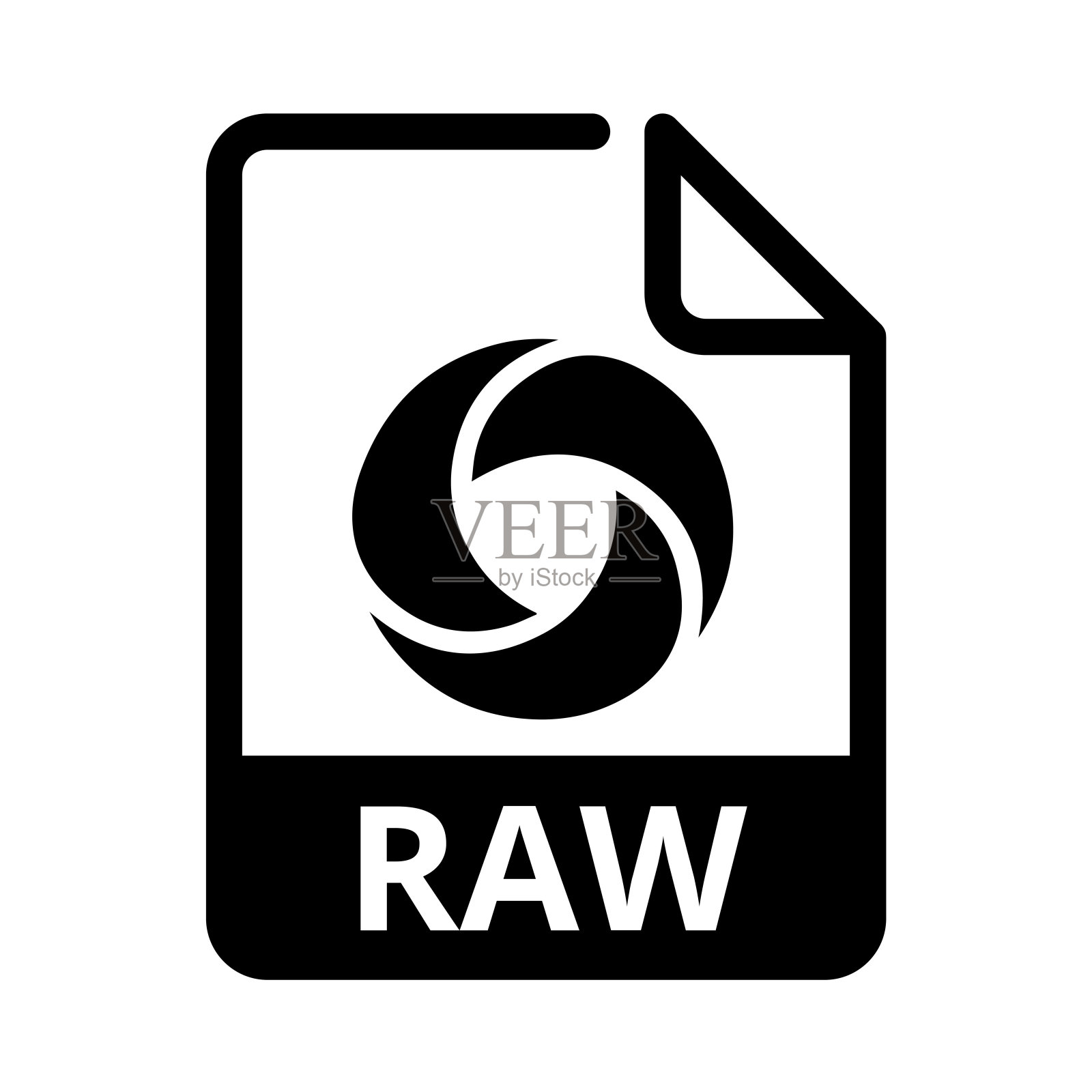 RAW文件图标。矢量文件格式。相机文件扩展现代平面设计插画图片素材