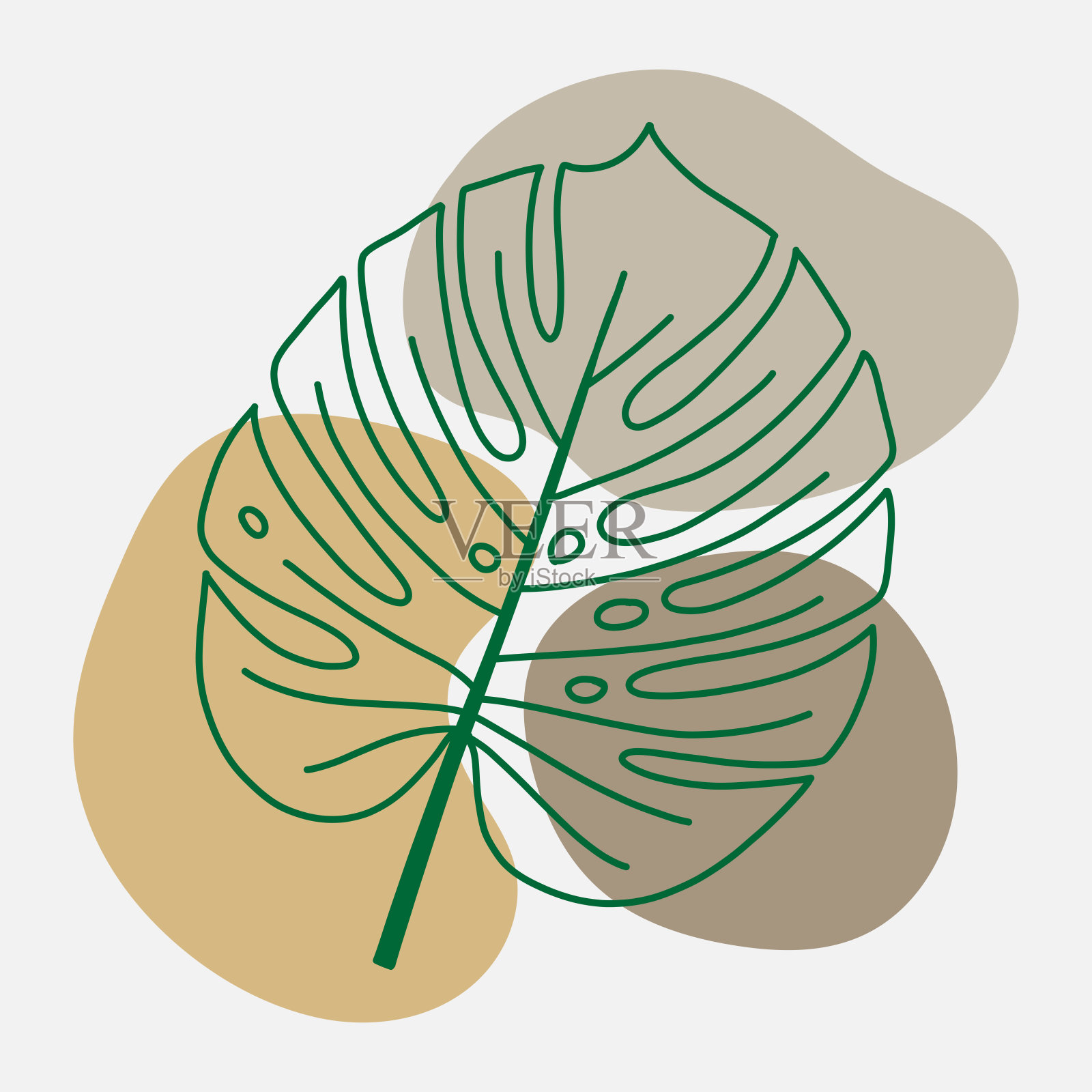 极简抽象背景轮廓叶插画图片素材