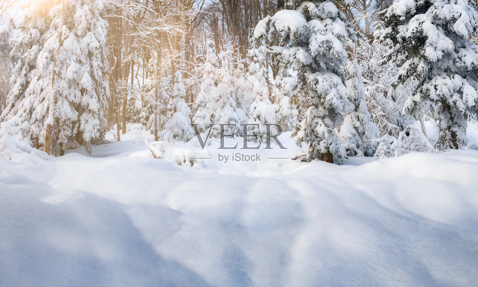 童话般的雪林与雪堆寒假圣诞背景照片摄影图片