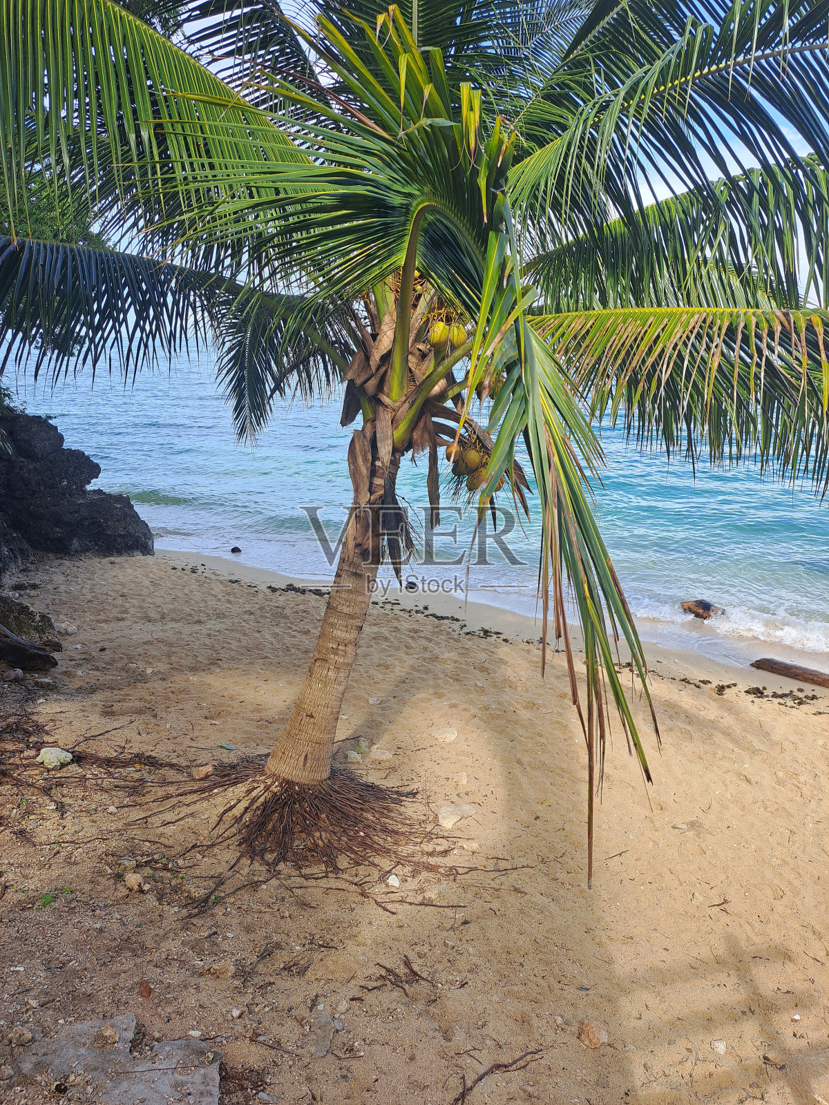 热带海滩菲律宾照片摄影图片