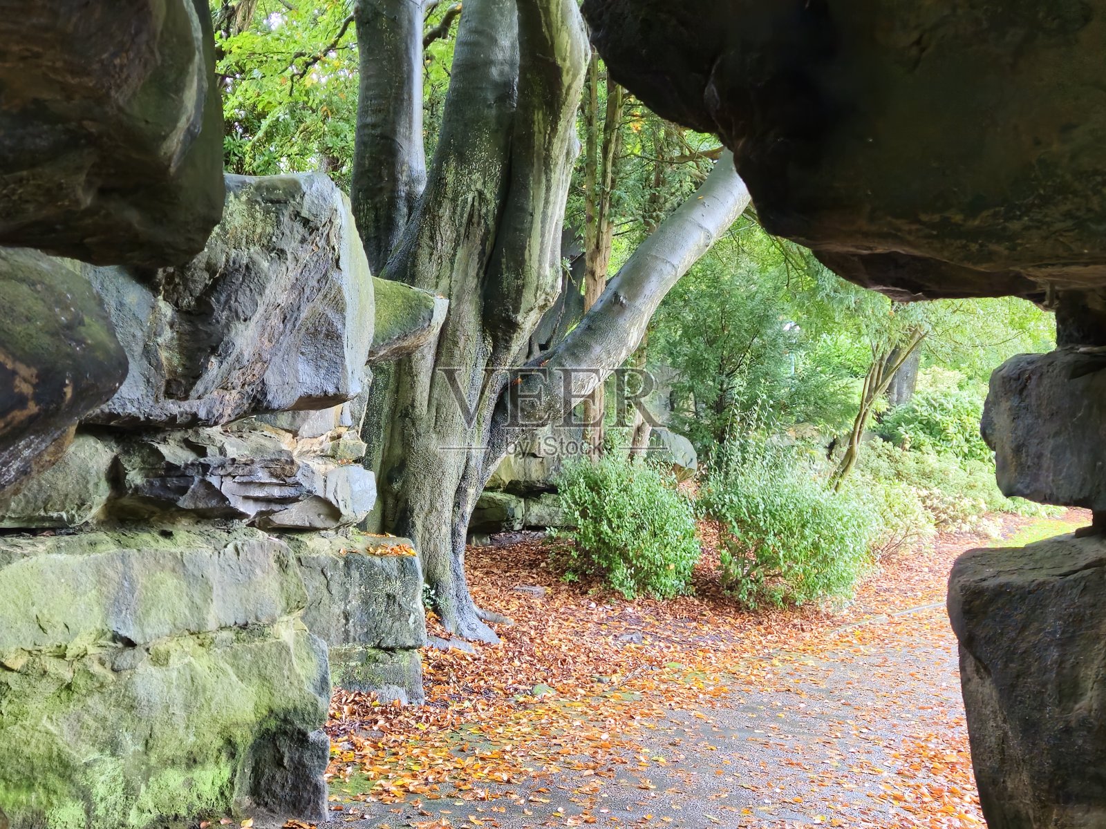 秋天照片摄影图片