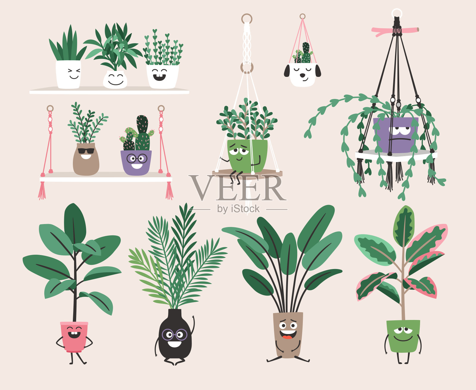 收藏的家庭植物在花盆与眼睛。时髦hygge风格的室内植物。城市丛林装饰集。花盆里的常绿植物插画图片素材