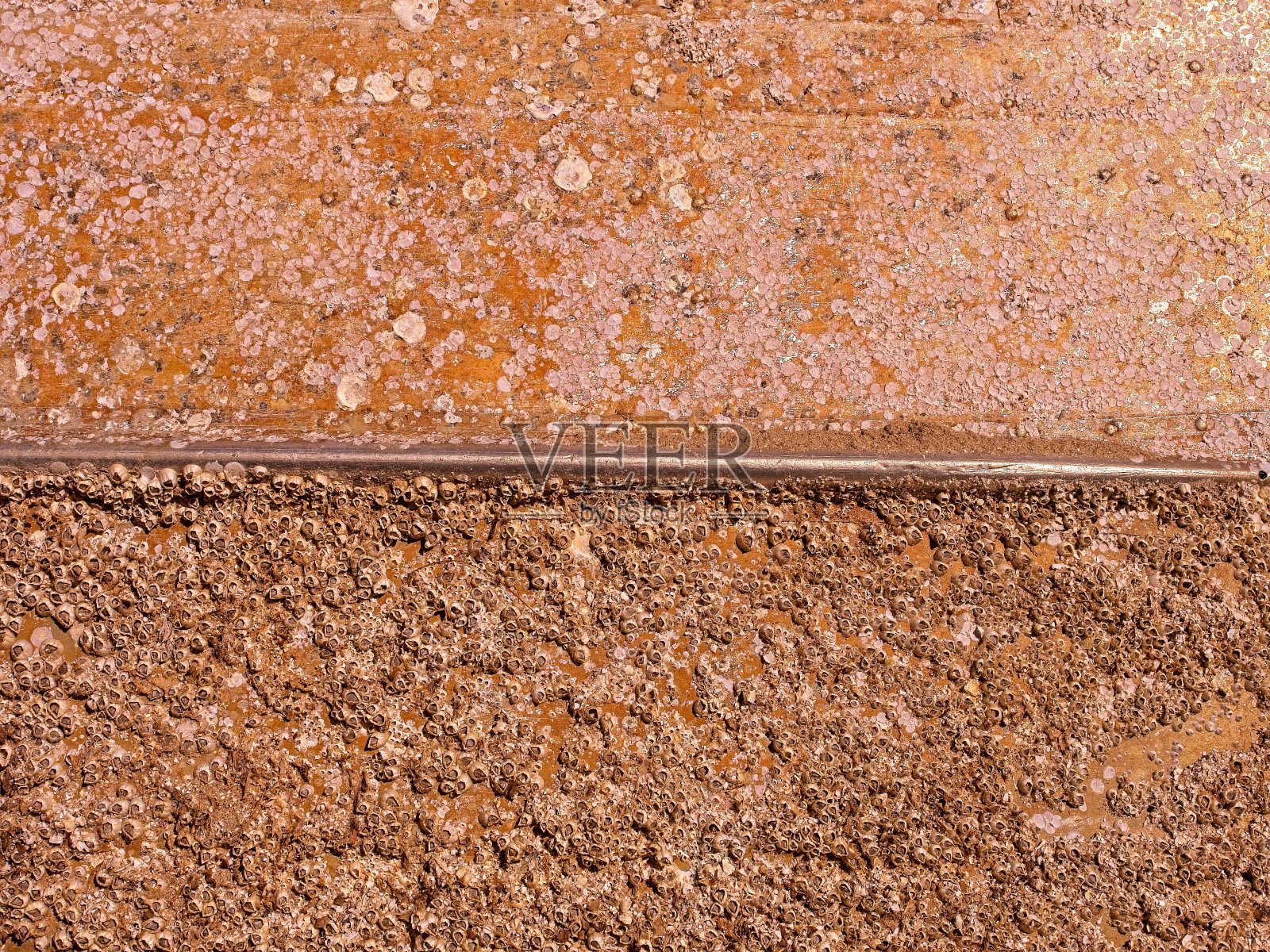海洋藤壶的抽象纹理细节，在一排船的底部照片摄影图片