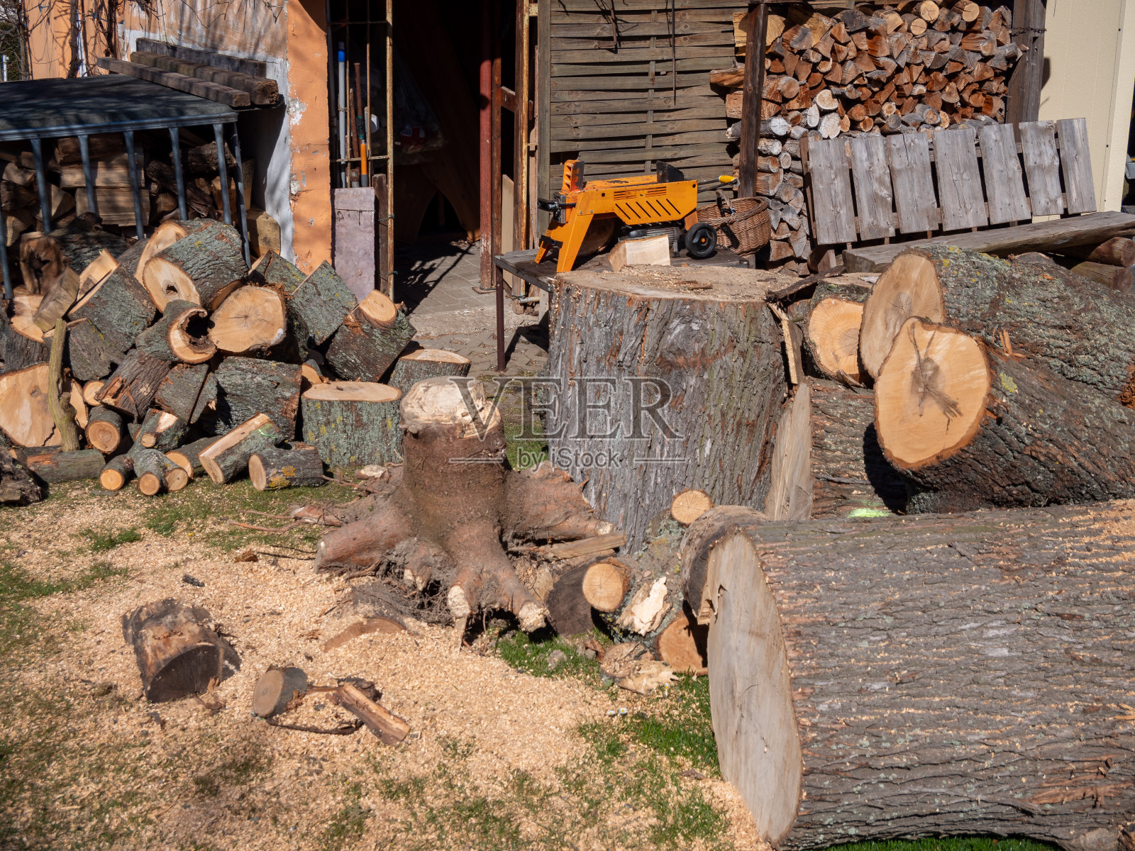 在花园里砍柴照片摄影图片