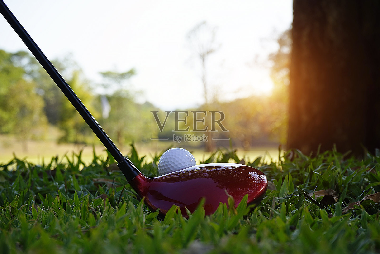 高尔夫球和高尔夫俱乐部在美丽的高尔夫球场在泰国。高尔夫设备的集合休息在绿色的草地与绿色的背景照片摄影图片