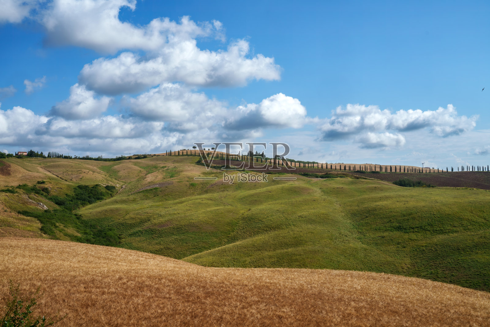 夏季，托斯卡纳奥尔恰山谷的乡村景观照片摄影图片