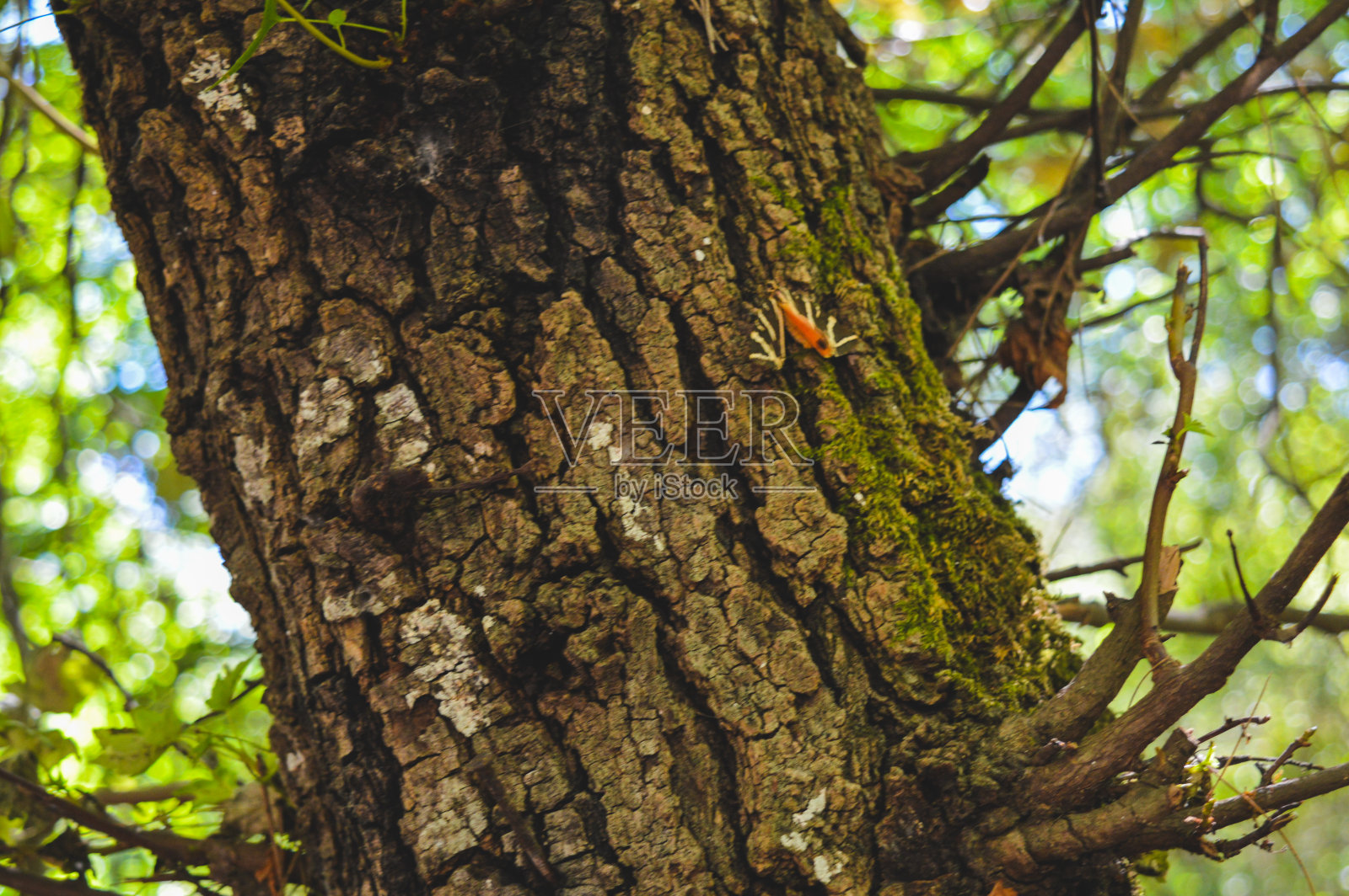 罗德岛是希腊的避暑胜地照片摄影图片