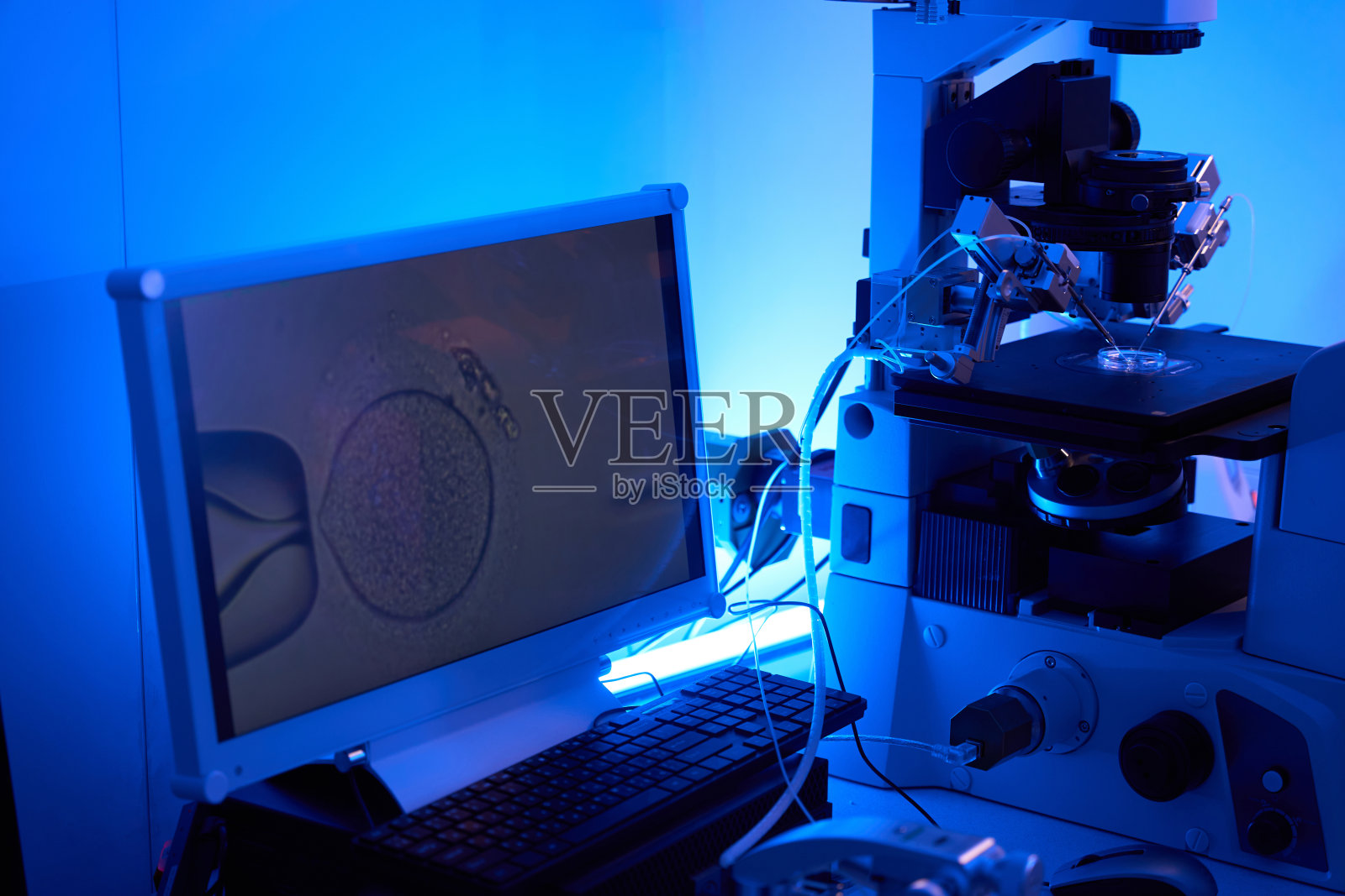 实验室环境下ICSI过程的特写照片摄影图片