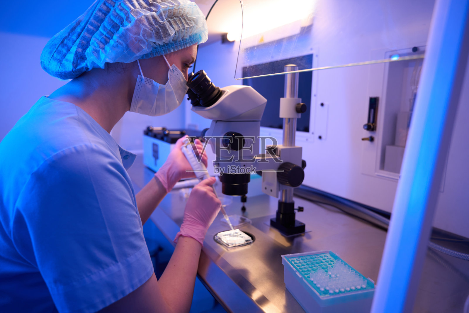 胚胎学家正在为显微镜检查准备标本照片摄影图片