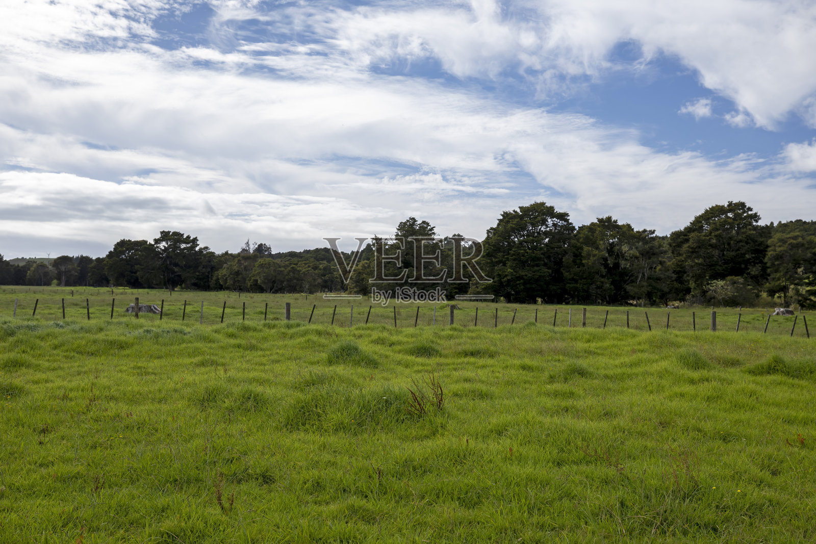 新西兰乡村照片摄影图片