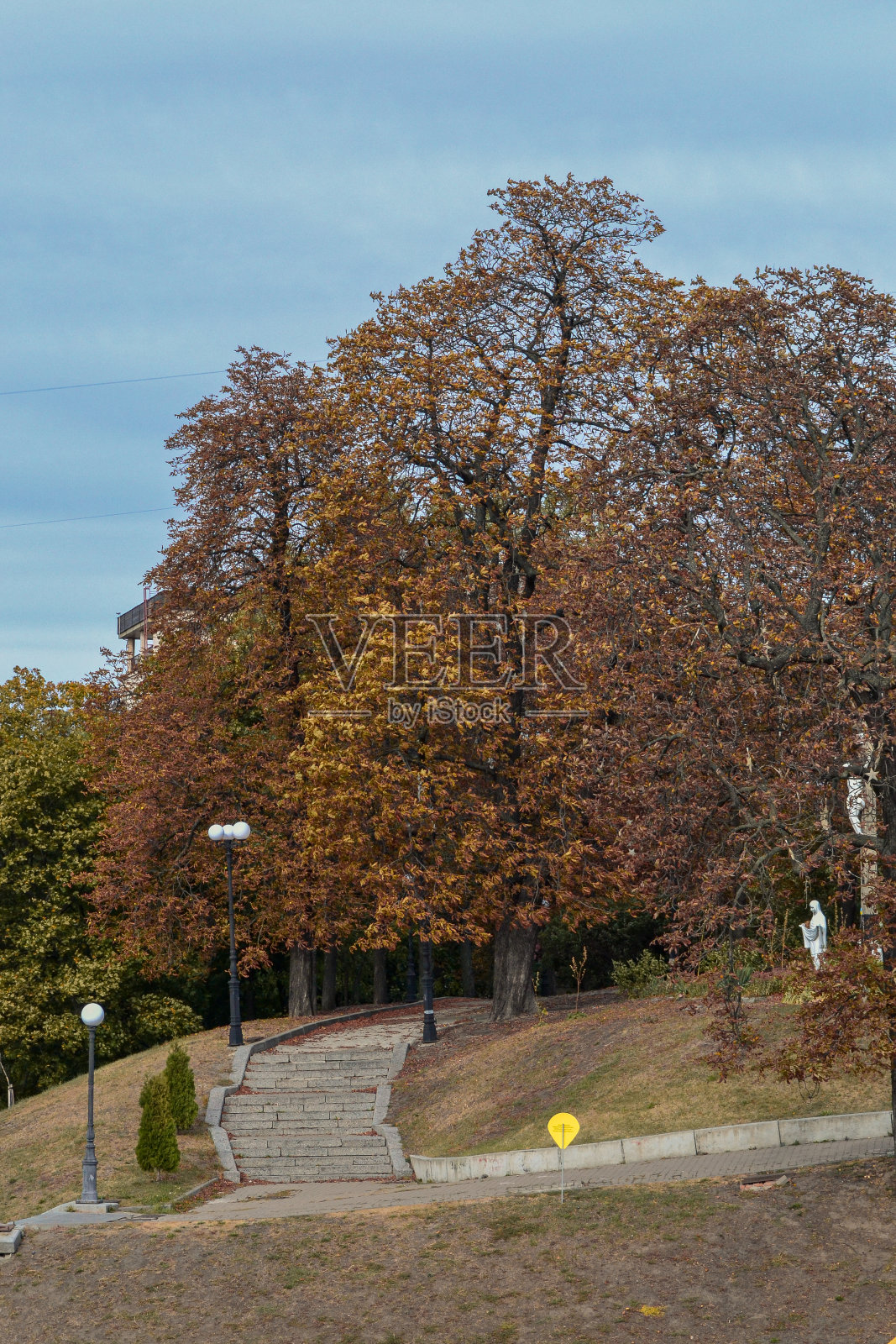 一对热恋中的情侣在公园散步照片摄影图片