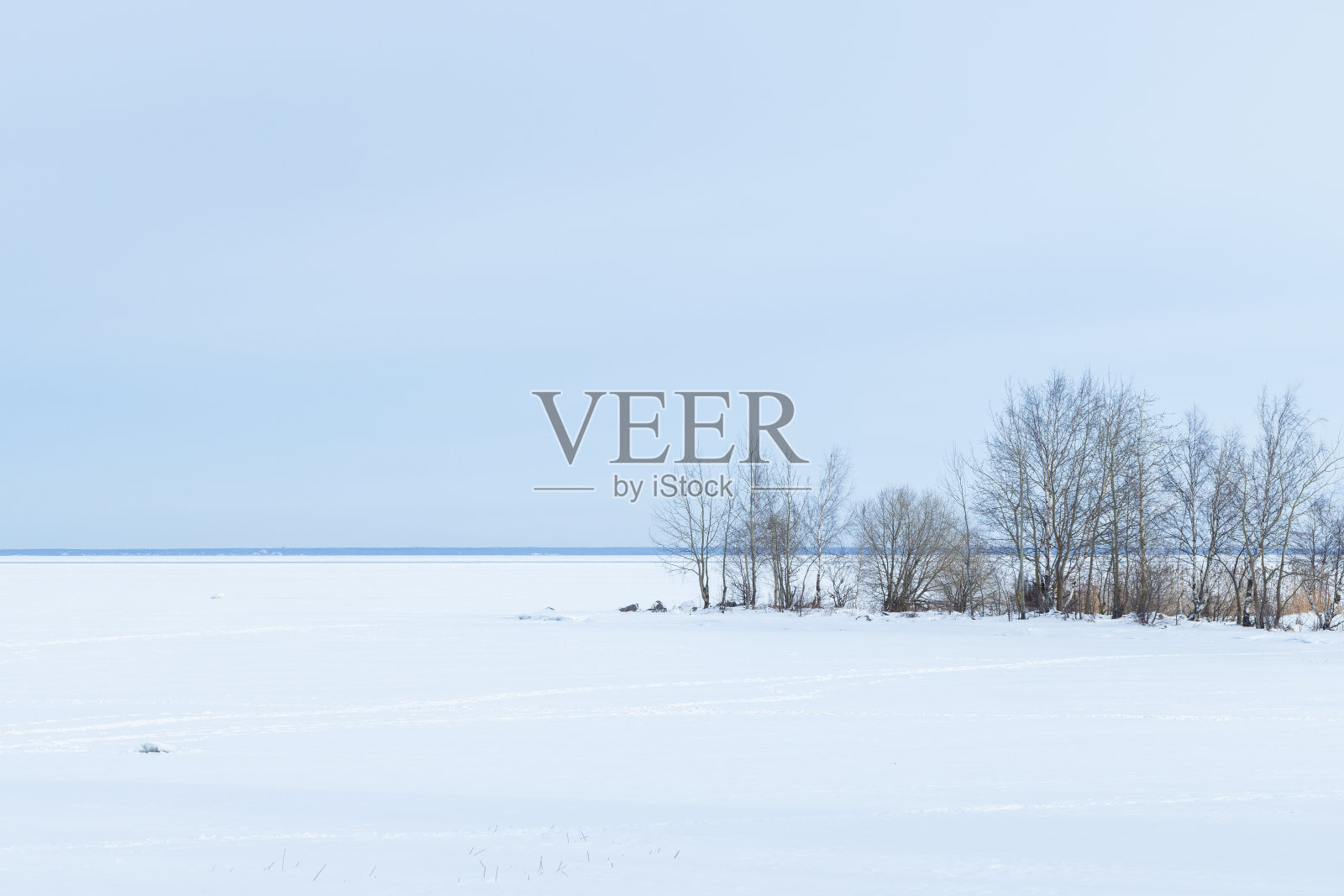 冬天的景色，在多云的蓝天下，白雪皑皑的海岸和光秃秃的树木照片摄影图片