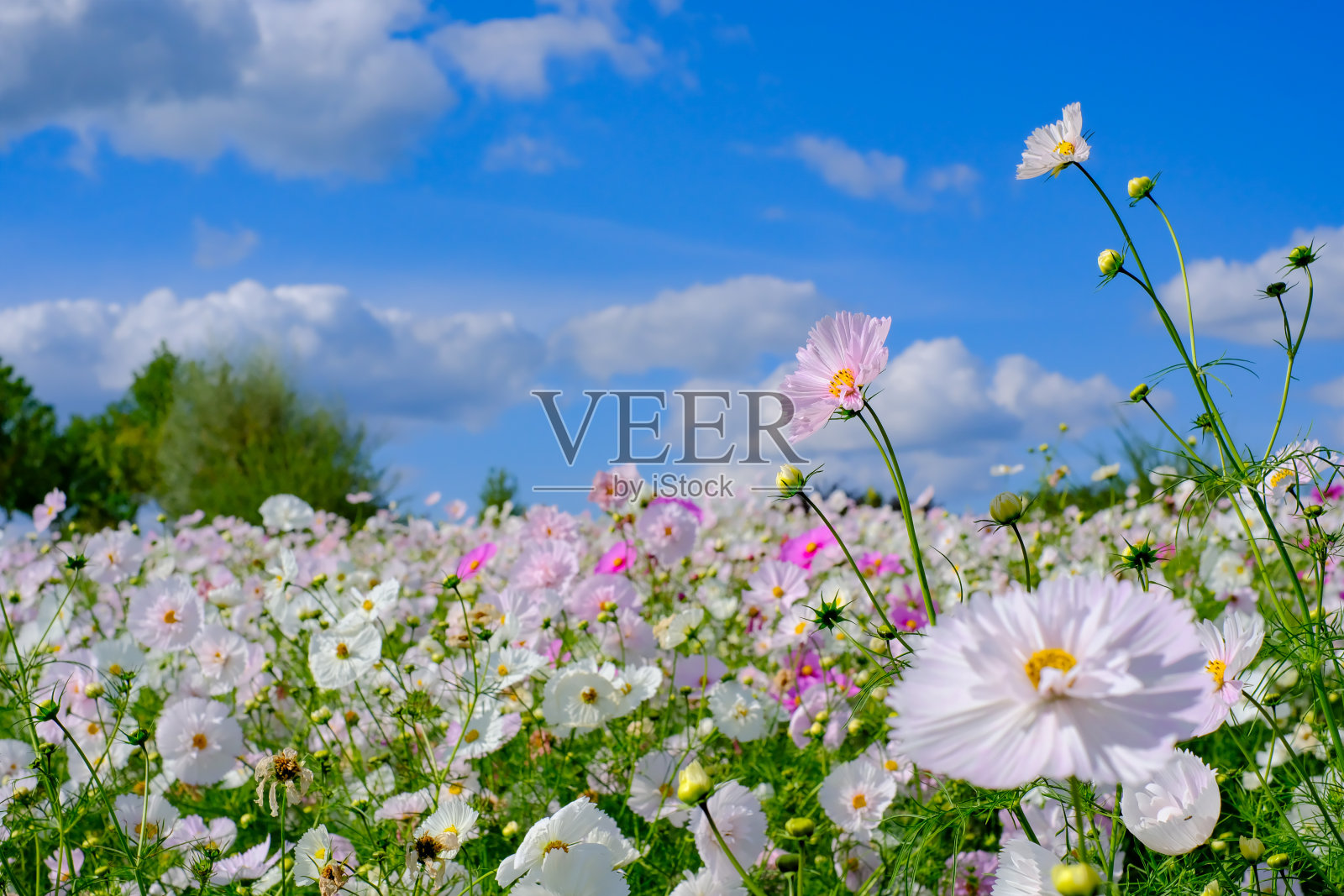 这是一张宇宙的照片照片摄影图片