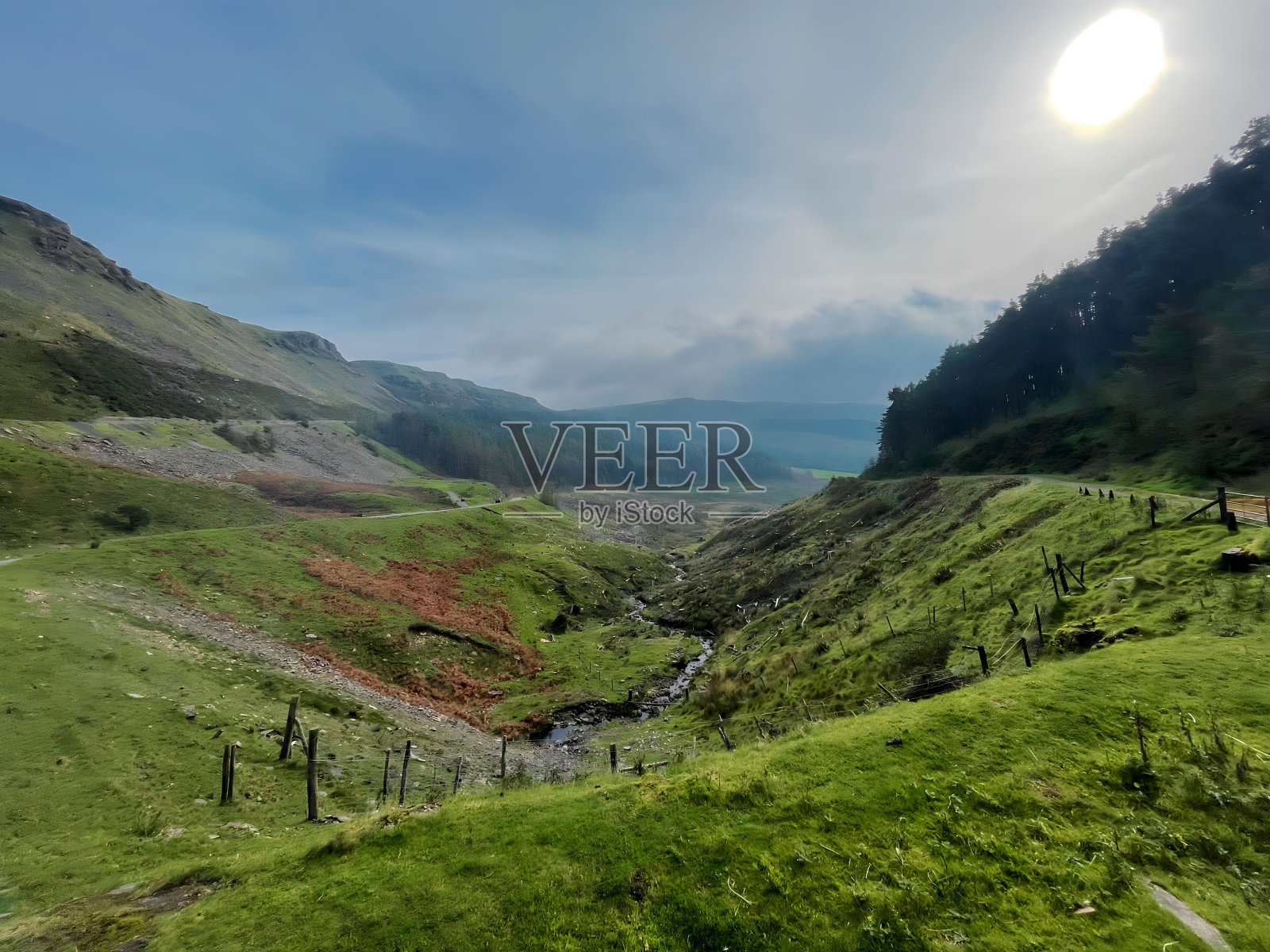 非常美丽的风景，阳光照耀着树木照片摄影图片