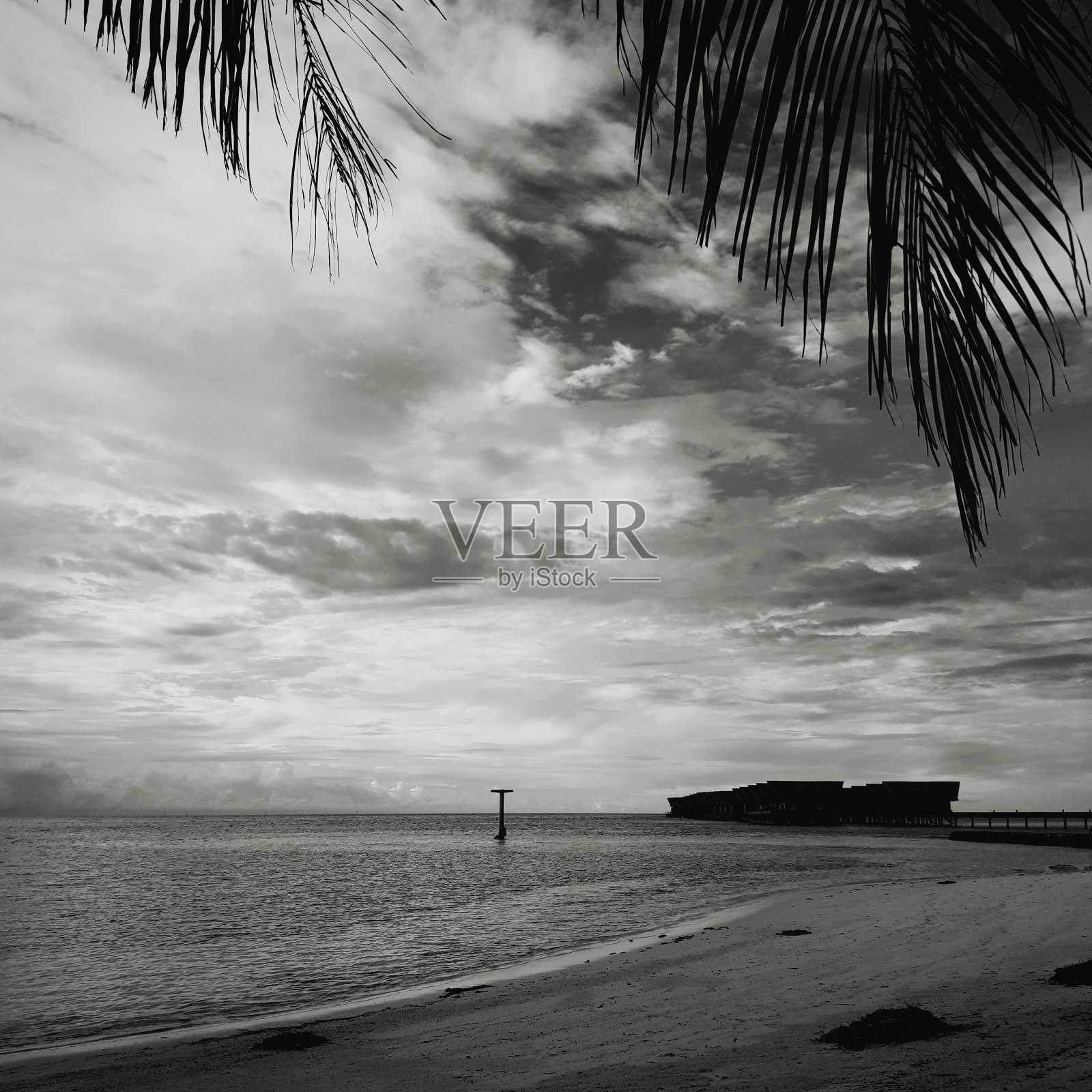 单色热带海滩照片摄影图片