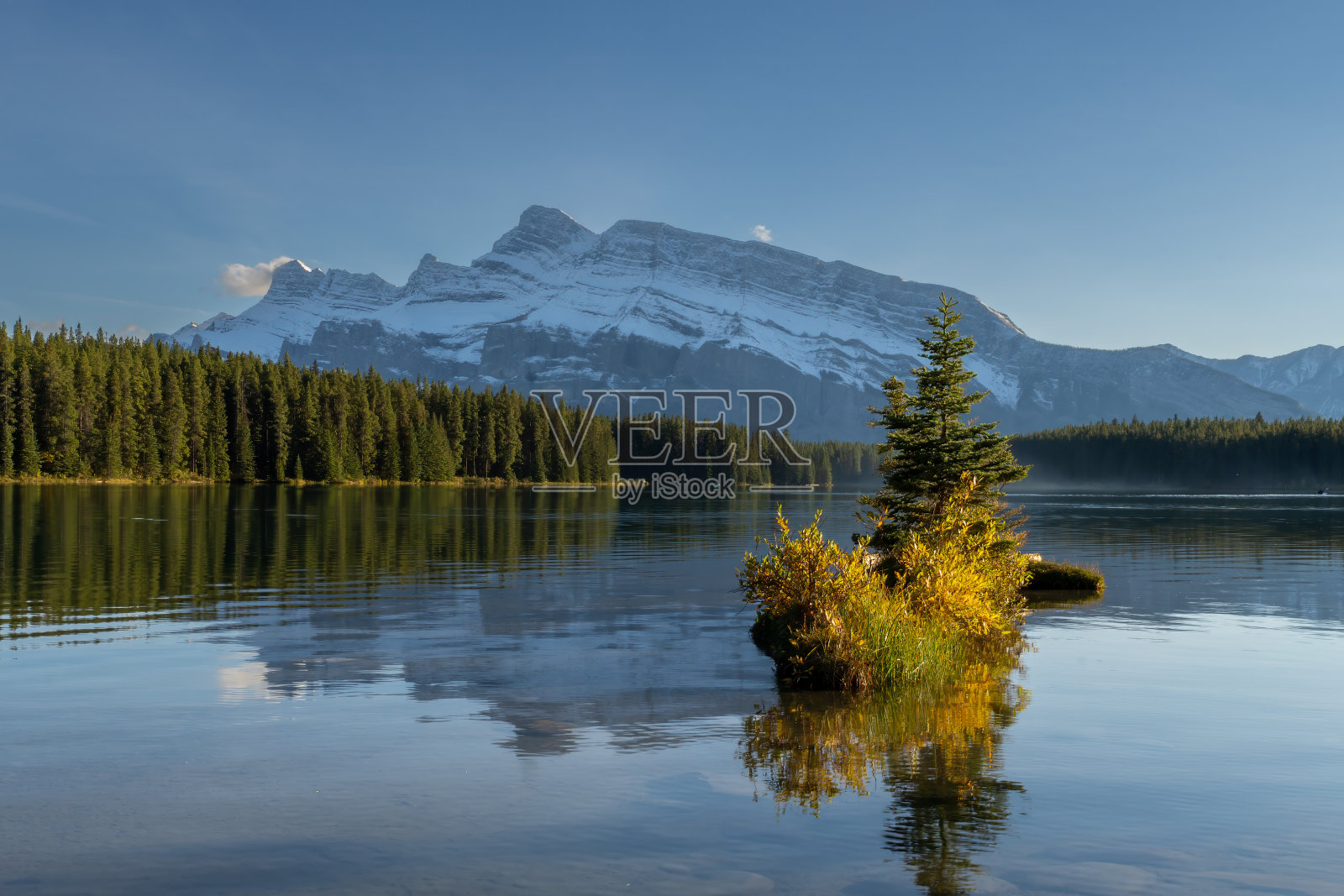 绿洲照片摄影图片
