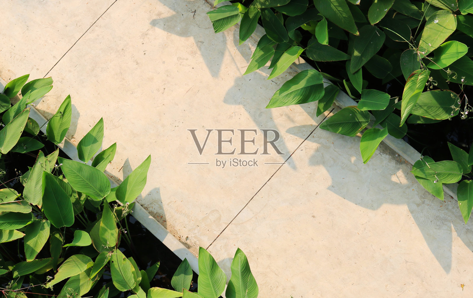 混凝土栈道鸟瞰图。照片摄影图片