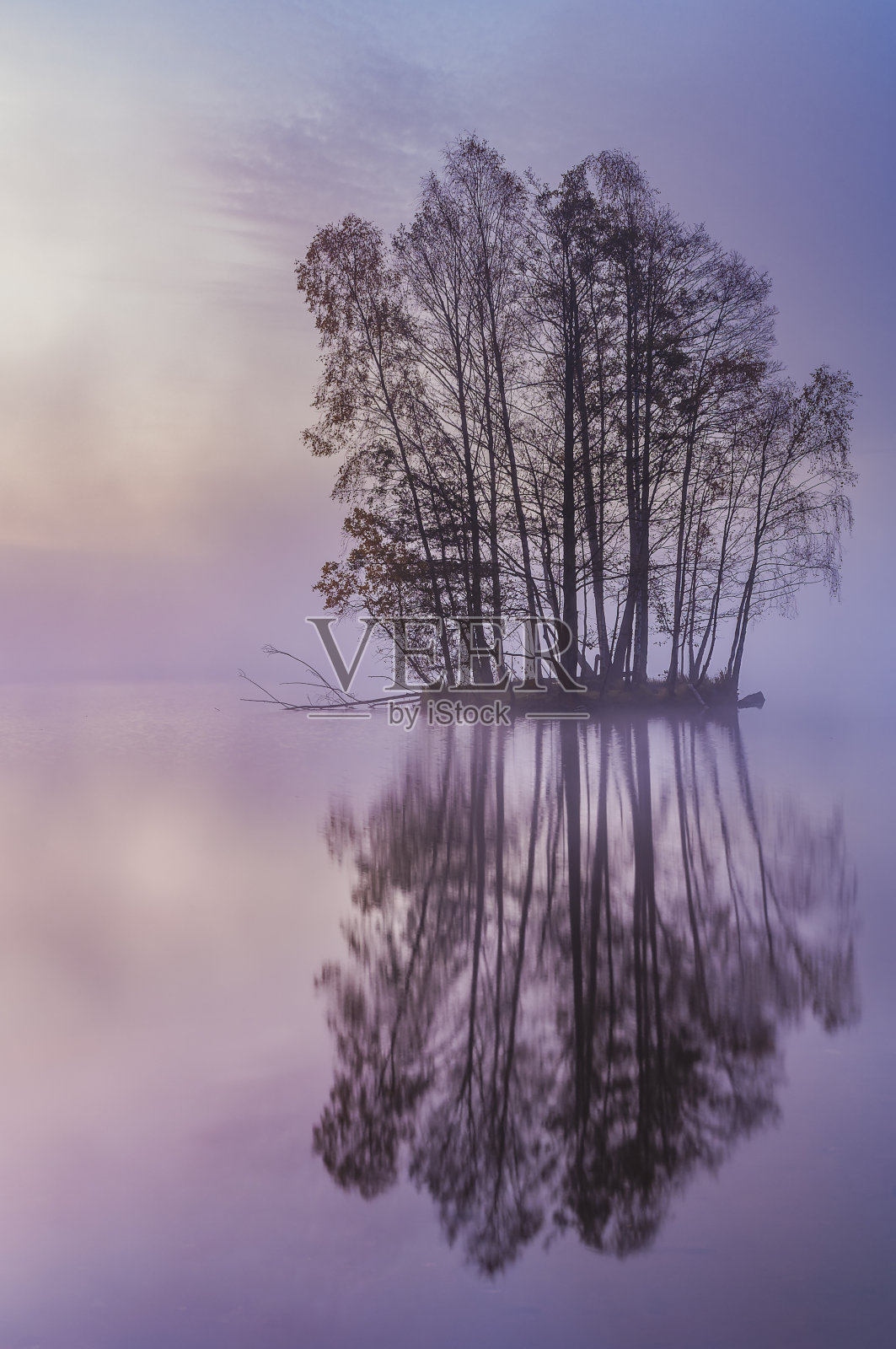 岛上的树木，静静的薄雾笼罩的湖面照片摄影图片