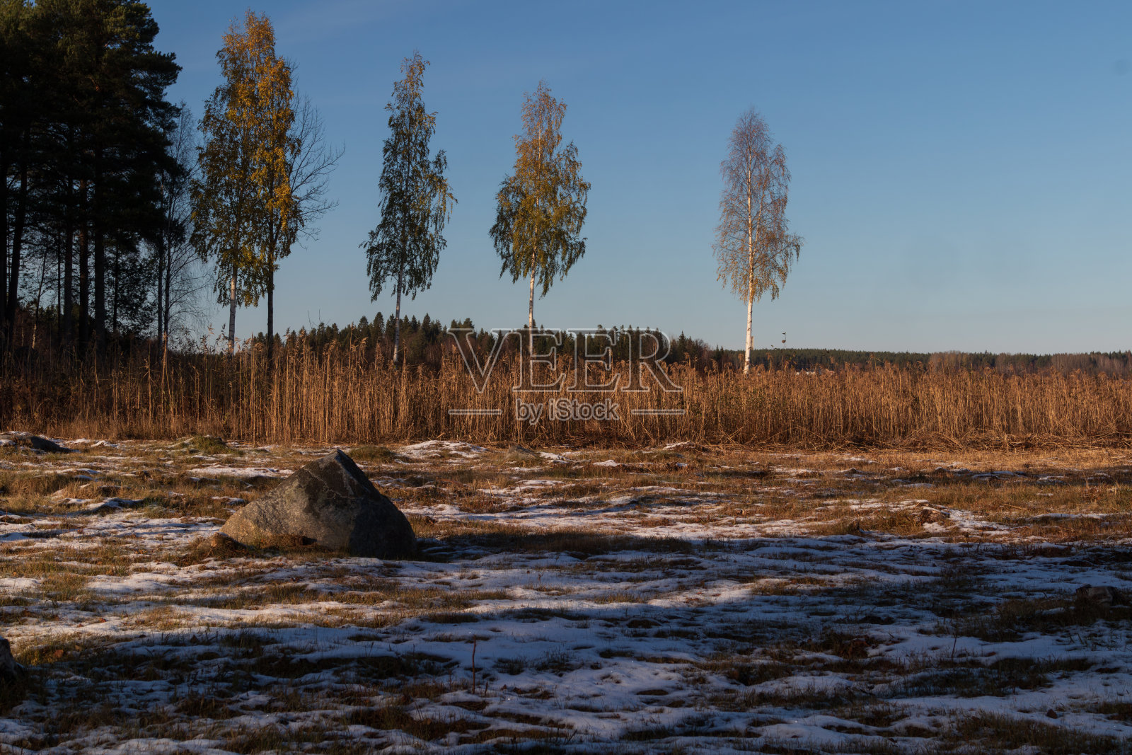 秋景雪照片摄影图片
