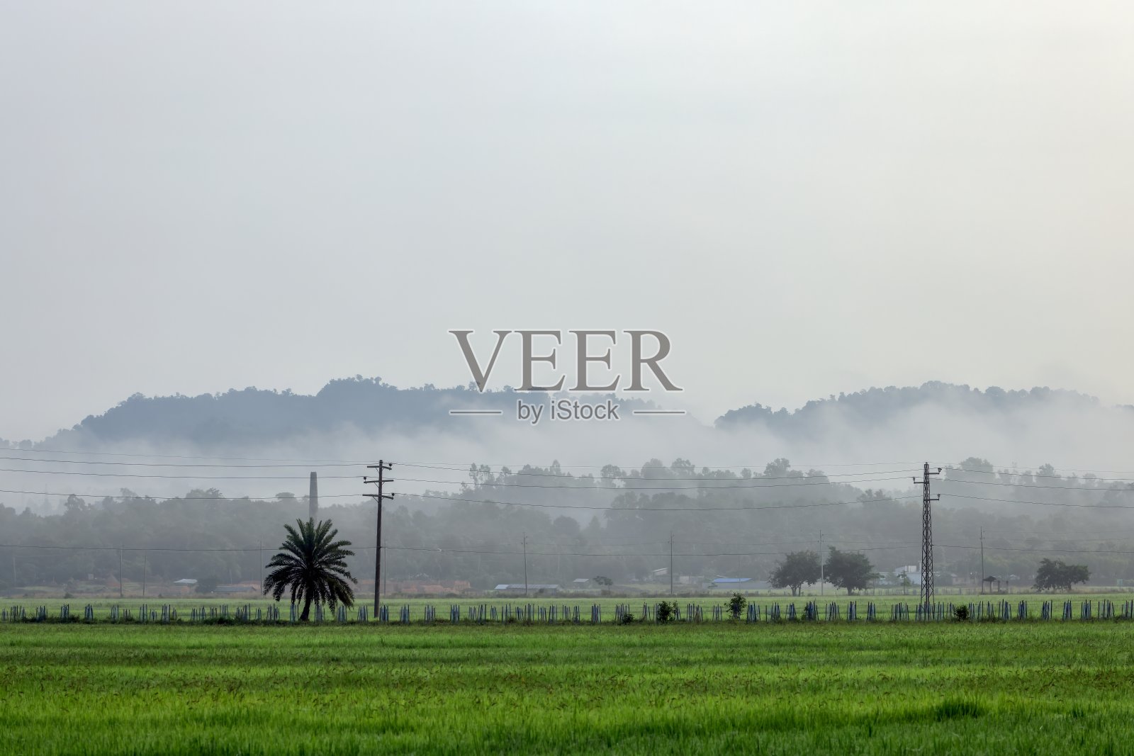 一个雾蒙蒙的冬日早晨照片摄影图片