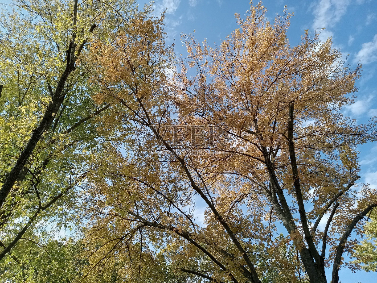 秋天的颜色照片摄影图片