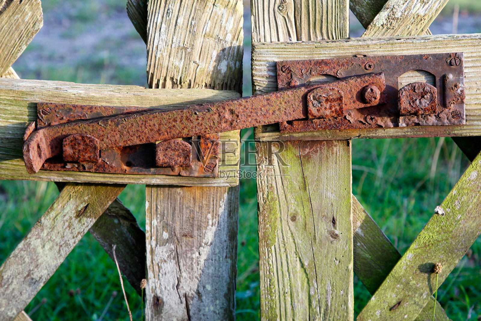 锁着的。照片摄影图片