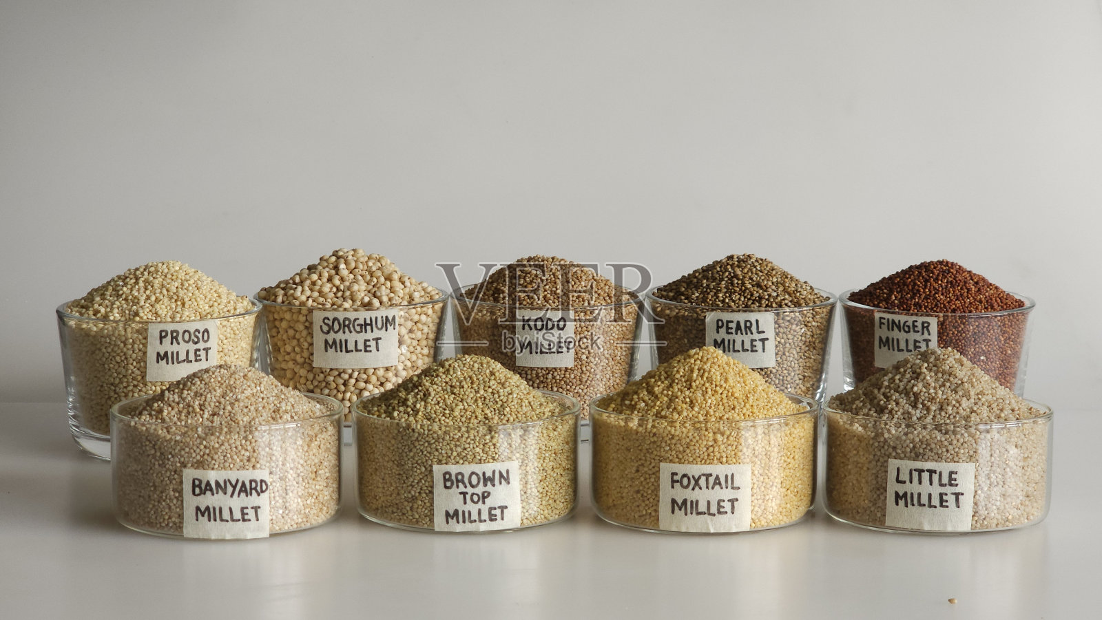 一张图片显示了所有9个小米。小米被放在标有标签的碗里照片摄影图片