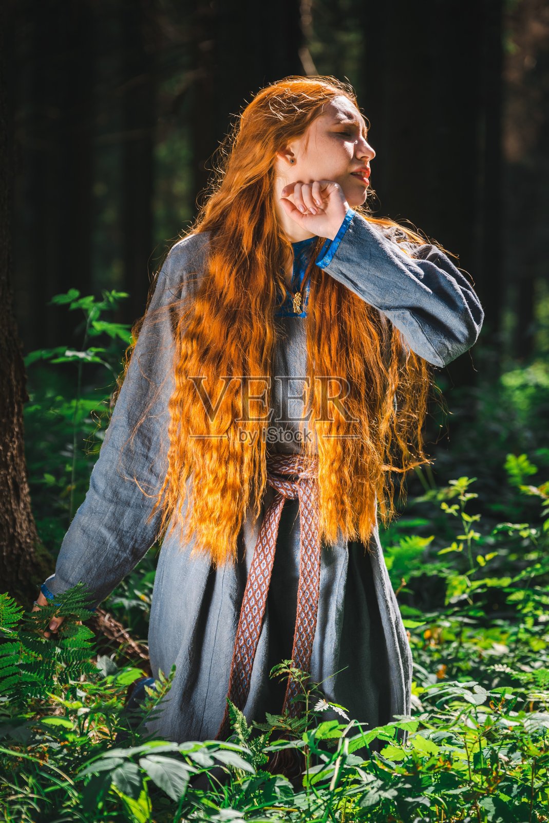 迷失在树林里照片摄影图片