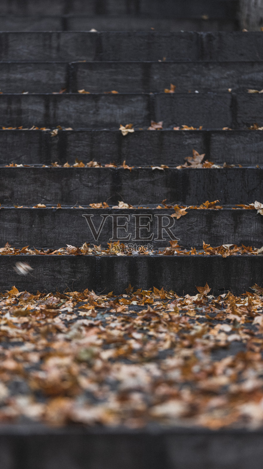 楼梯上的落叶照片摄影图片