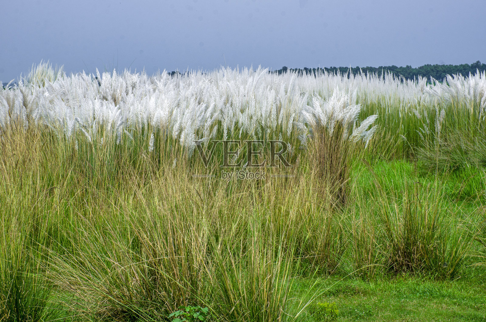 秋高气爽照片摄影图片